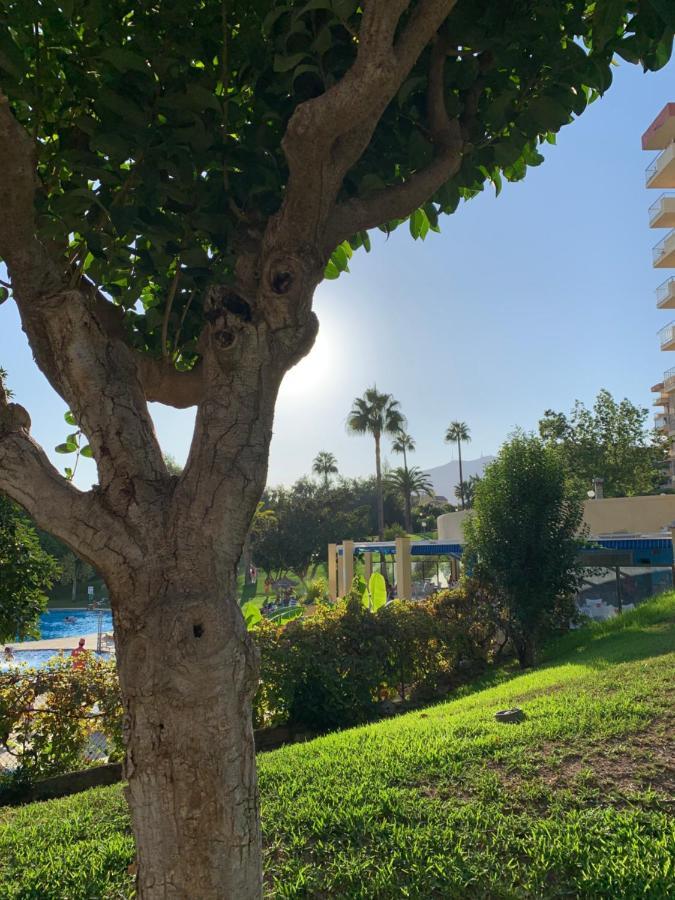 Minerva Lejlighed Benalmádena Eksteriør billede